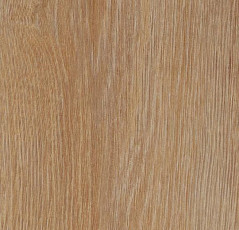 Кварцвиниловые полы Forbo Allura Wood 60295DR7-60295DR5 pure oak фото 1 | FLOORDEALER